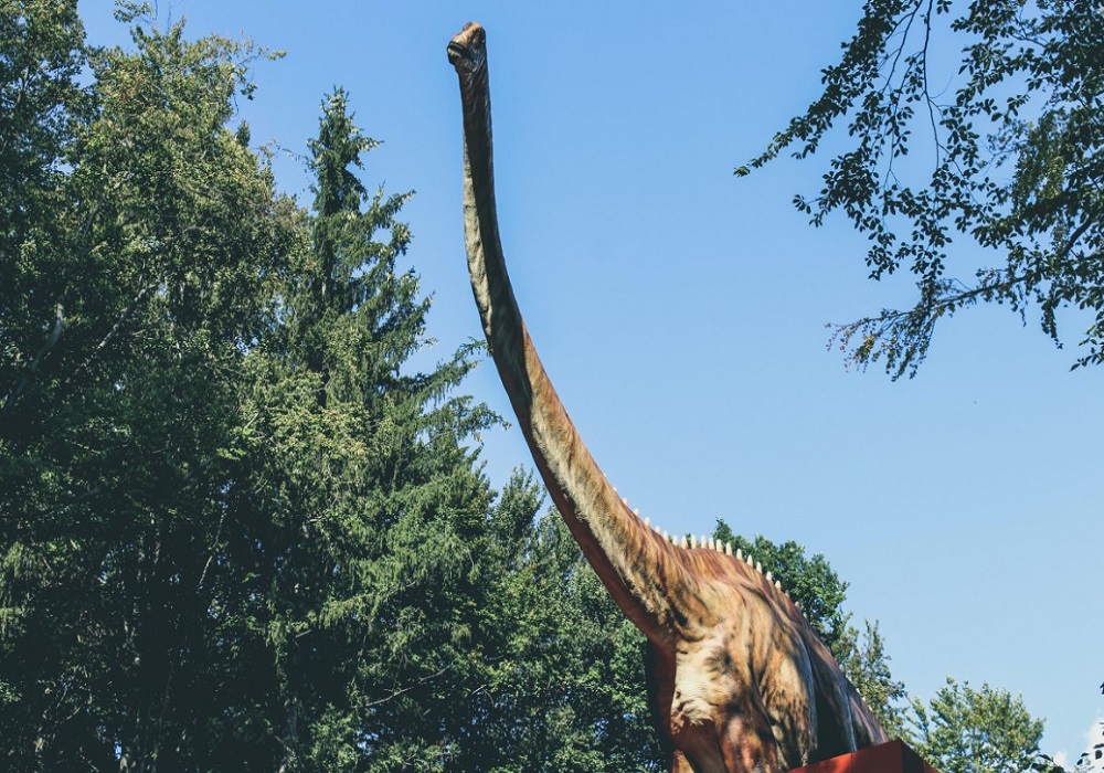 long-necked dinosaur