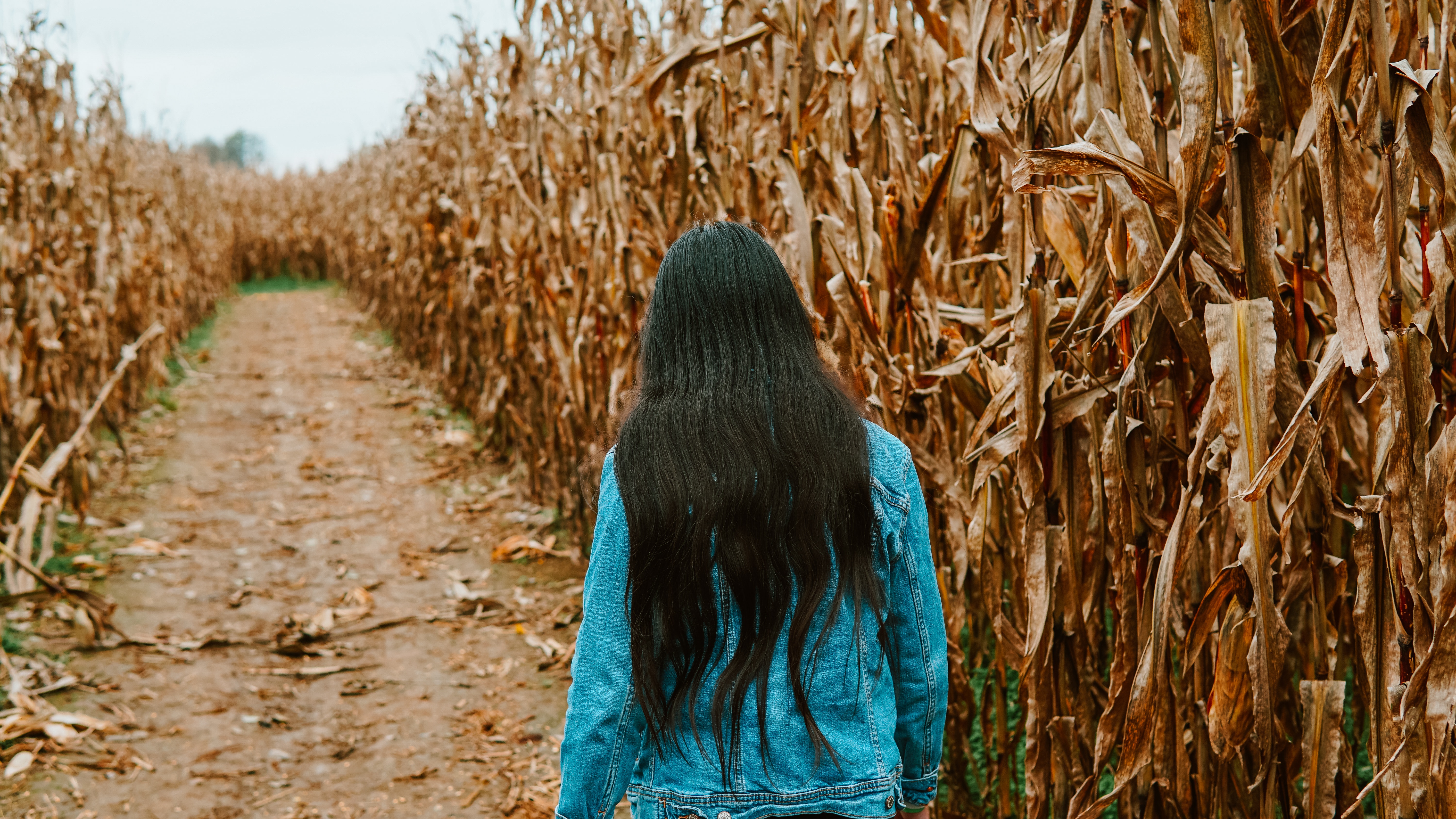 image of woman in corn maze